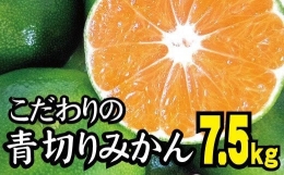 こだわりの青切りみかん 約7.5kg  有機質肥料100% サイズ混合 ※2022年9月下旬より順次発送予定（お届け日指定不可） ※北海道・沖縄・離島地域は発送不可