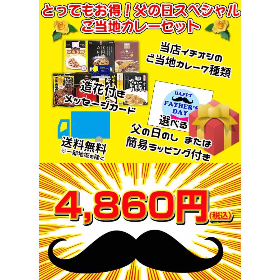 父の日カレーギフト 父の日スペシャルご当地カレーセット メッセージカード付き お父さん