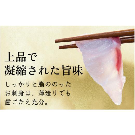 ふるさと納税 福井県 小浜市   「若狭ふぐのてっさ」 と 「若狭まはたのお刺身」 セット 