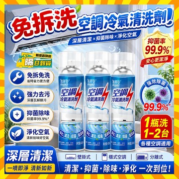 隔日達 免拆洗 清萊姿空調淨化清洗劑 家用分離式冷氣 空調冷氣清洗劑 冷氣淨化清洗劑 冷氣機清潔劑 空調清潔劑 冷氣除臭
