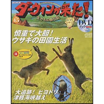 NHKダーウィンが来た！DVDブック 45号ノウサギ／ヒヨドリ