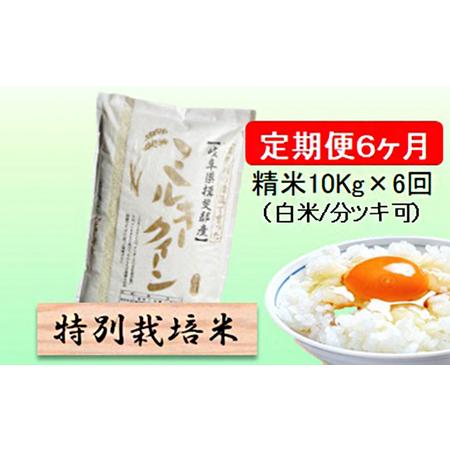 ふるさと納税 特別栽培米★[定期便] 6カ月★毎月 精米10kg（白米 7分 5分ツキ可）　玄米は別に出品 岐阜県池田町