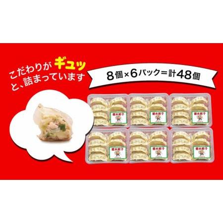 ふるさと納税 「宇都宮餃子館」健太餃子 960ｇ（４８個）≪冷凍餃子 冷凍食品 ギョーザ グルメ 食品 惣菜 中華惣菜 点心 中華≫◇ 栃木県さくら市