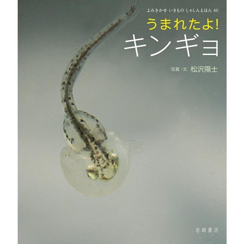 松沢陽士 うまれたよ キンギョ よみきかせいきものしゃしんえほん