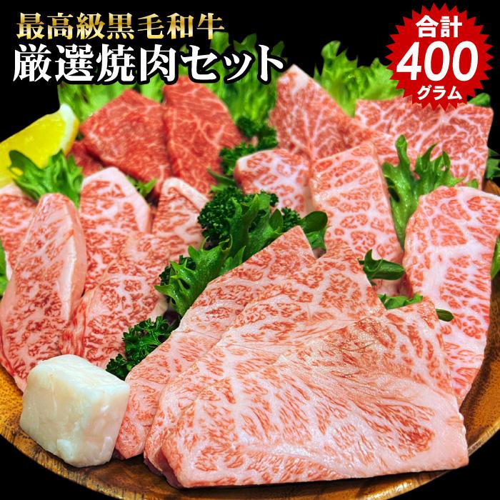 焼肉 食べ比べ 最高級 黒毛和牛 店長厳選 おまかせ焼肉セット 400g 5種類入り バーベキュー 肉 セット 福袋 BBQ