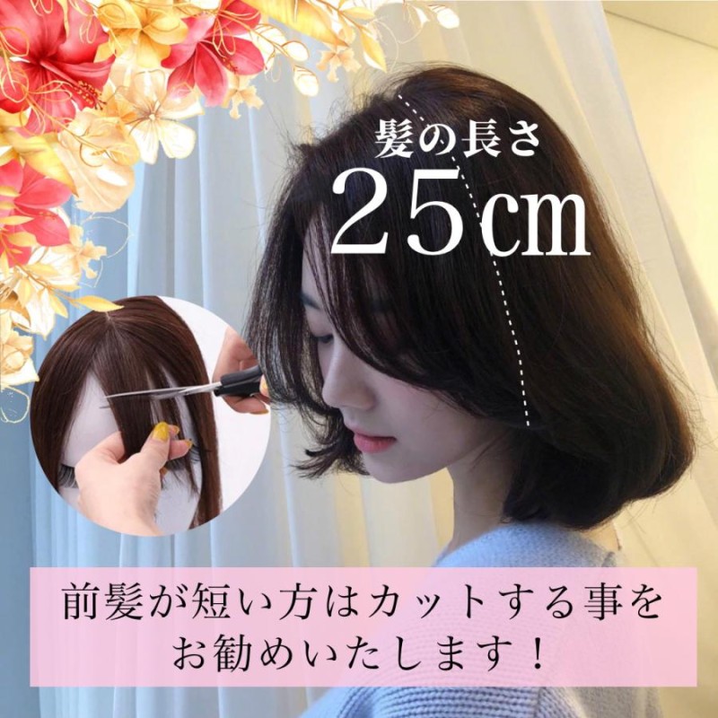 頭頂部ウィッグ　25cm ライト ブラウン ヘアピース 部分 かつら