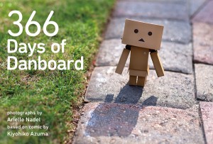 366 Days of Danboard ＫｉｙｏｈｉｋｏＡｚｕｍａ ＡｒｉｅｌｌｅＮａｄｅｌ