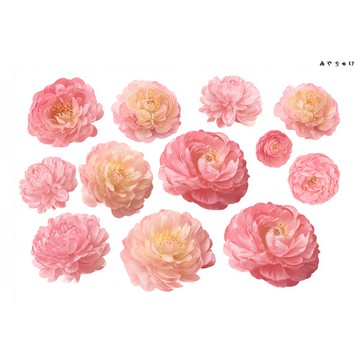 【10月新作4】20-22-0026 裁切紙・拼貼素材 陸蓮花