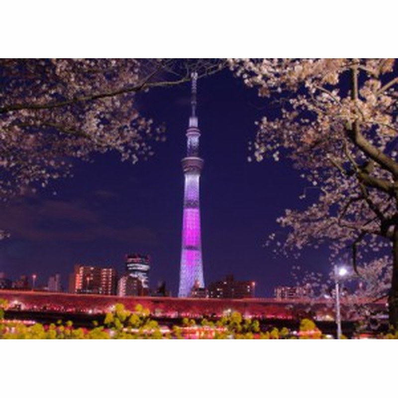 絵画風 壁紙ポスター 東京スカイツリーと夜桜 ライトアップ ピンク 夜景 キャラクロ Tst 010a2 版 594mm 4mm 通販 Lineポイント最大1 0 Get Lineショッピング