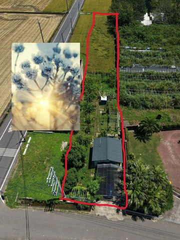 近新埔義民廟合法資材室+農地｜新竹縣新埔鎮義民段