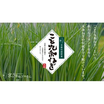 ふるさと納税 京都市 九条ねぎカット食べ比べセット(厳選)