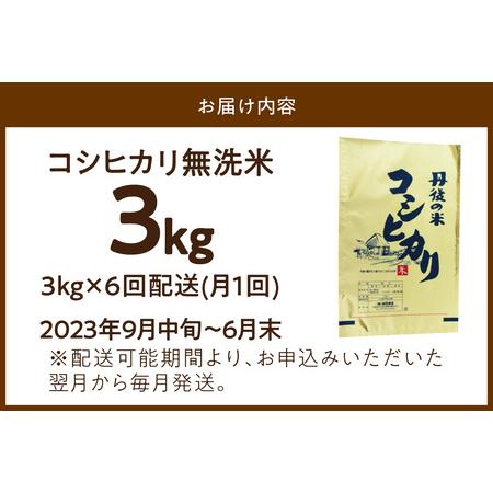 ふるさと納税 無洗米・定期便（6回）2023年産 京都・丹後コシヒカリ 無洗米 3kg作り手が見えるコシヒカリを無洗米に！  京都府京丹後市