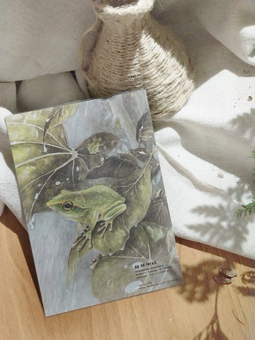 翡翠樹蛙-臺灣特有動物系列-特有種 台灣 明信片