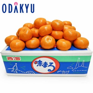 みかん 送料無料 糖度12度以上 長崎県産 味まるみかん 約2.5kg ※沖縄・離島へは届不可