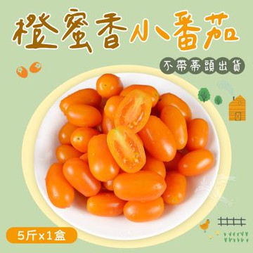 【產地直送】橙蜜香小番茄禮盒5斤x1盒(不帶蒂頭出貨)
