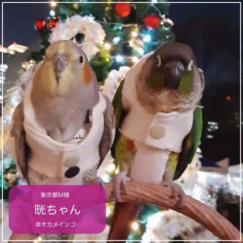 バーディフーディ ミディアム〜オカメインコ オキナインコ LINEショッピング