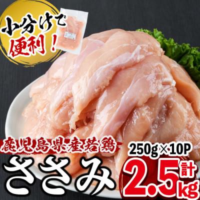 ふるさと納税 志布志市 鹿児島県産若鶏ささみ　2.5kg(250g×10P)