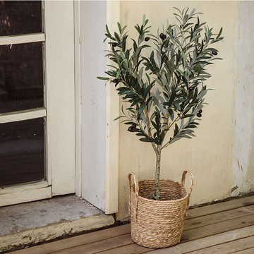 南十字星 北歐風客廳仿真橄欖樹植物盆栽室內大型落地假綠植盆景