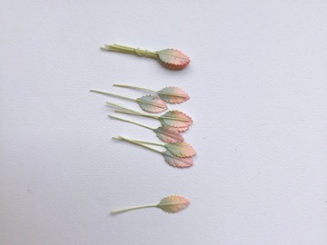 紙花，禮品裝飾DIY用品：100片，綠刷玫瑰葉