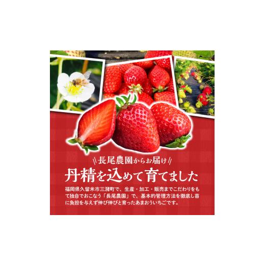 ふるさと納税 福岡県 久留米市 あまおういちご ２パック入×２箱（計４パック）