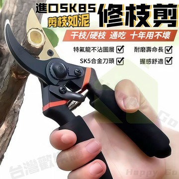 現貨隔日到貨🔥德國進口修枝剪 SK5園藝剪 鋒利大號修枝剪 修剪樹枝 花木枝原裝 家用花木葡萄剪子 園藝工具 果樹專用