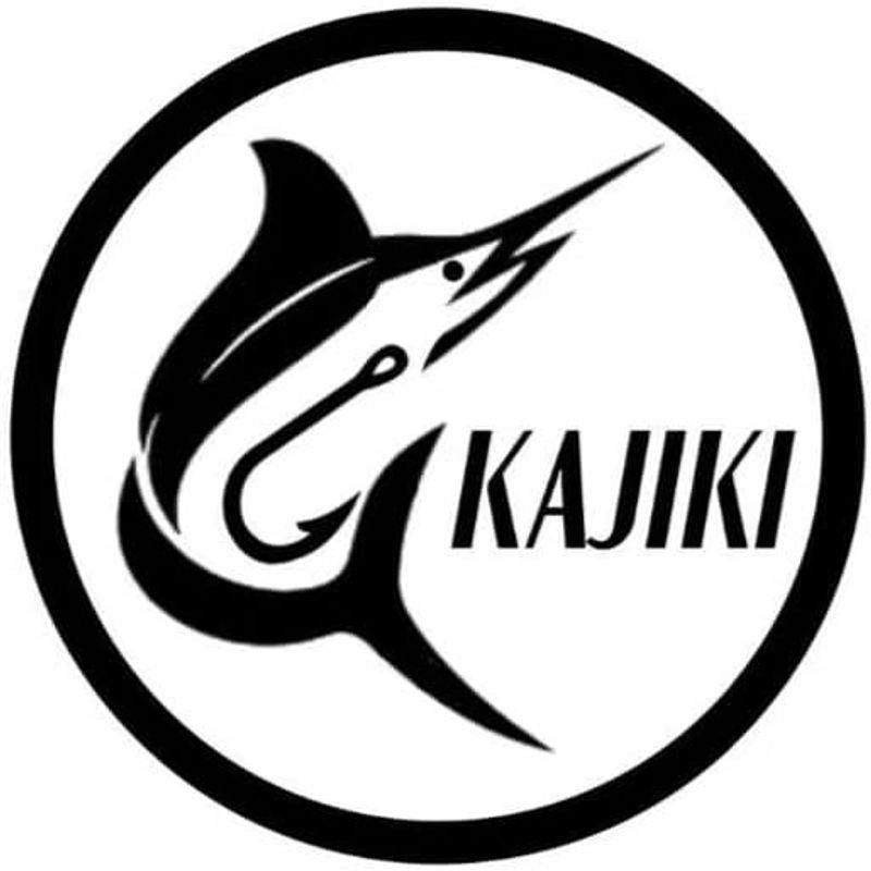 KAJIKI（カジキ) ヘビーシンキングペンシル 95mm 40g 3個セット 海