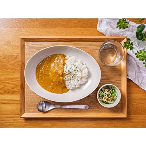 五島の鯛で出汁をとったなんにでもあうカレープレーン（50袋）