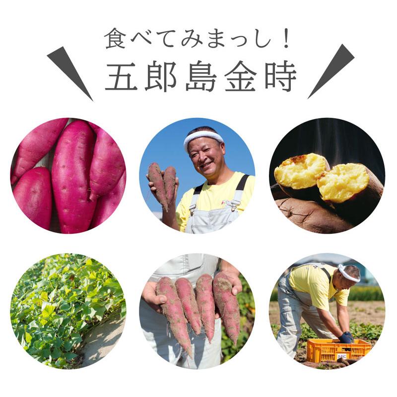 さつまいも 五郎島金時 5kg 等級：優品 Mサイズ 加賀野菜 サツマイモ 自宅用 ブランド芋 石川県産 家庭用 小傷あり 生芋 産地直送 野菜 ギフト 送料無料