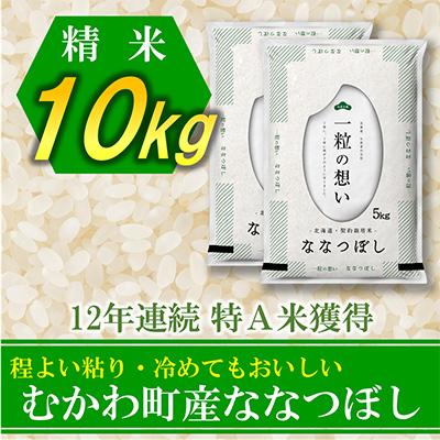 ふるさと納税 むかわ町 12年連続特A受賞米!北海道むかわ町産ななつぼし 精米10kg