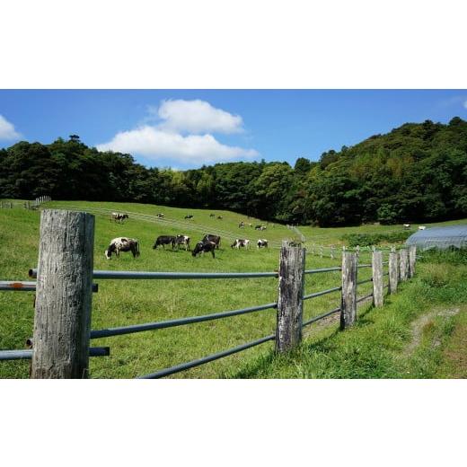 ふるさと納税 千葉県 館山市 須藤牧場の低温殺菌ノンホモ牛乳 900ml×2本 ／ 日時指定可 樹脂ボトル