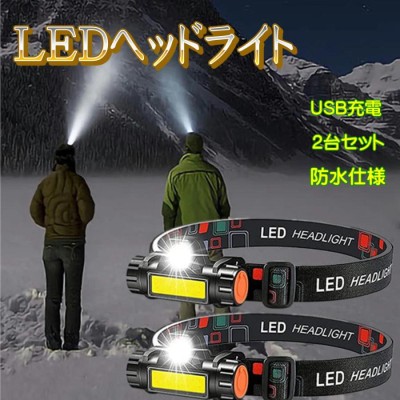 ハタヤリミテッド/HATAYA LED防爆型ヘッドランプ CEP005D(3745457) JAN