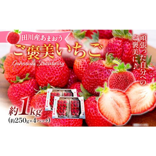 ふるさと納税 福岡県 田川市 ごほうびいちご （約250g×4パック ） ＜2024年1月以降順次発送予定＞ いちご 苺 高品質 完熟 フルーツ 果物 お取り寄せ ご当地グ…