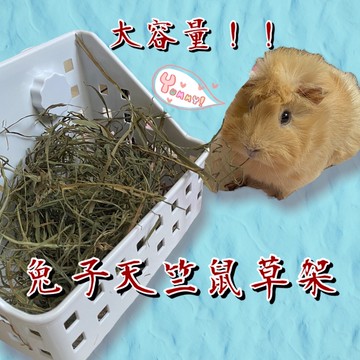 兔子草架 天竺鼠草架大草架 牧草架 大容量牧草架 兔子用品 兔子草盆 可固定 過濾草屑