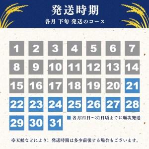 ふるさと納税 ■2024年1月下旬発送■新米 20kg(5kg×4袋) 「清流寒河江川育ち 山形産はえぬき」 2023年産　029-C-JA011-01下 山形県寒河江市