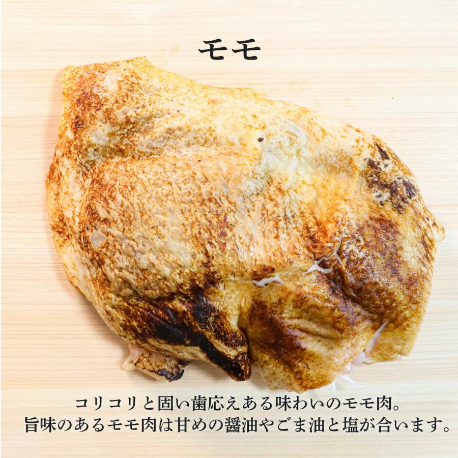 薩摩名物鳥刺し（モモ）500G（250GX2）鹿児島県産親鳥 新鮮 おすすめ カット済み たたき たっぷり 国産 冷凍 コリっともも肉 生食用 小分け おつまみに うまい