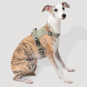 【HiDREAM】山谷系列 防爆衝速穿狗胸背 (多色)