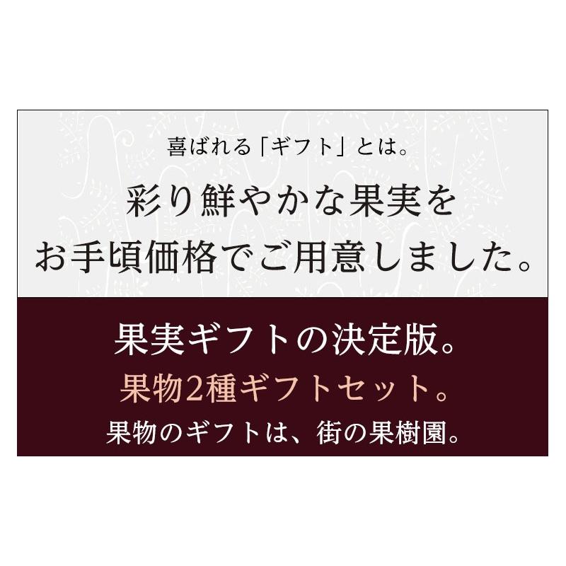 送料無料 産地厳選 アールスメロン 山梨 長野県産 シャインマスカット フルーツ ギフト 送料無料 果物 詰合せ 果物 ギフト 誕生日  贈答 プレゼント