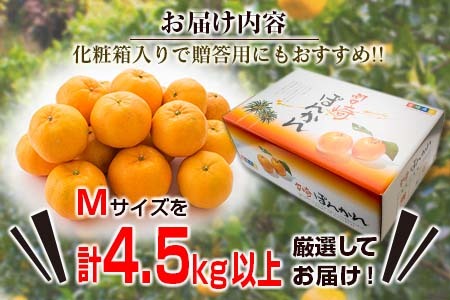 数量限定『日南市産ポンカン(Mサイズ)計4.5kg以上』傷み補償分200g付き　フルーツ　果物　柑橘　ぽんかん　みかん　国産 BA45-23