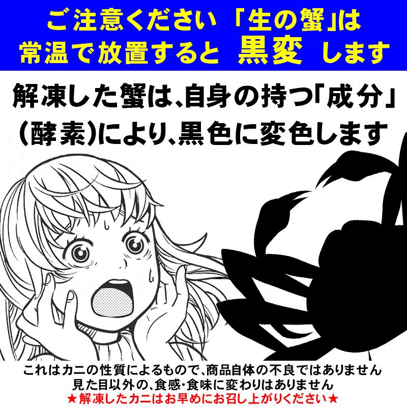 カニ かに 蟹 グルメ 生 ズワイガ二 カニ爪 ポーション 正味量400g×1袋 爪 ポーション 爪肉 蟹 セット