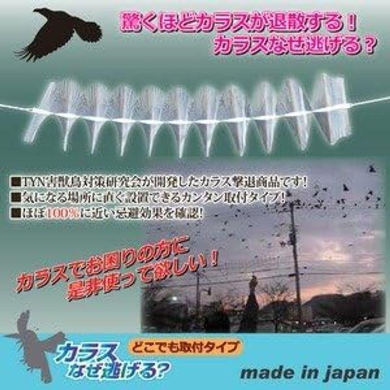 カラス撃退 忌避 カラスなぜ逃げる？ - 玄関用・靴箱用