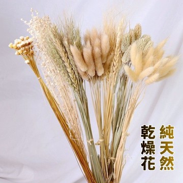 🌾快速出貨🌾乾燥花材 麥穗 小麥穗 花材 永生花 不凋花 乾燥花 仿真花 燕麥 花 乾燥花束 一束 各式乾燥花 拍照道具