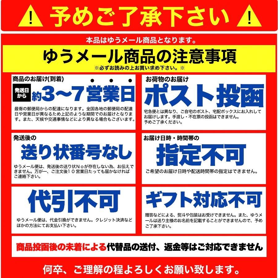 盛岡冷麺 もりおか 冷麺 お取り寄せ ４食スープ付き（100ｇ×4袋） 1000円以下 お試し ポイント消化 送料無料(発送遅いです) TEN