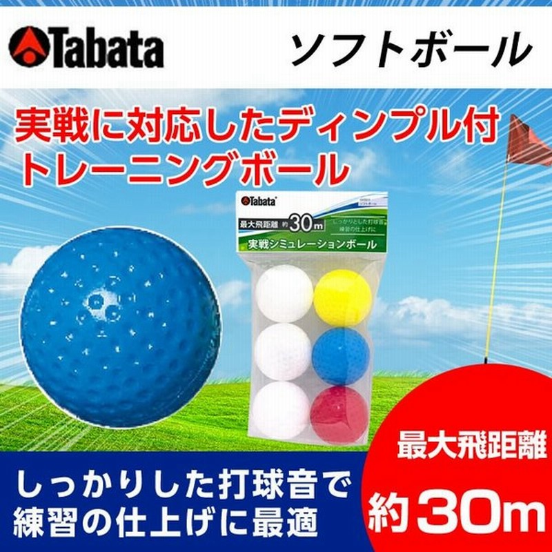 タバタ Tabata ゴルフ 練習用 練習器具 ソフトボール Gv 0311 通販 Lineポイント最大0 5 Get Lineショッピング