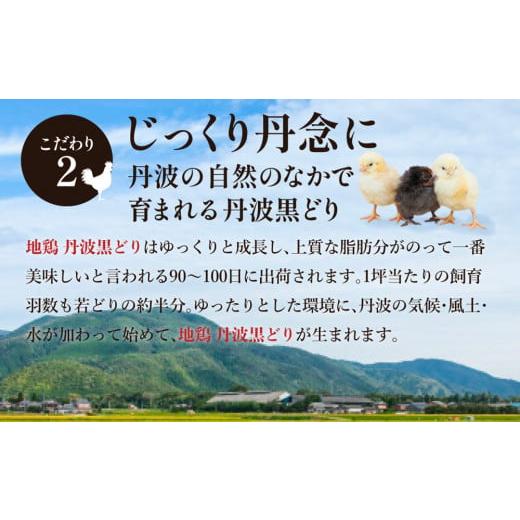 ふるさと納税 兵庫県 加西市 地鶏丹波黒どりと京都府産黒大豆のキーマカリー 6箱 鶏肉 レトルトカレー 6人前 黒豆 常温 キーマカレー ご当地 丹波山本 チキン