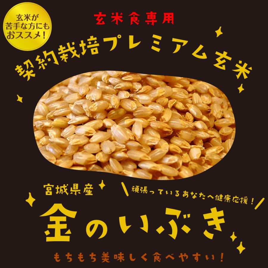 玄米ご飯パック 宮城県産 金のいぶき12個セット (120g×12) お米 おくさま印 栄養 健康 レンジで簡単 温めるだけ レトルト 送料無料