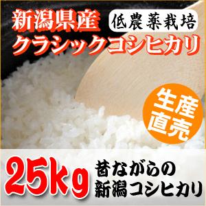 新潟サトウファームのクラシックコシヒカリ２５kg(５kg×５袋)