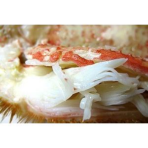 ボイル 毛がに 500g (北海道産特大毛蟹)このケガニ安いですが訳ありではありません(冷凍毛ガニ)蟹味噌三大蟹の1つのけがに