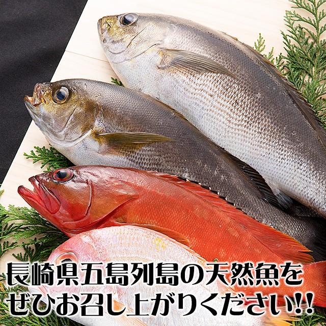 五島列島天然魚の刺身 海の宝セット5人前