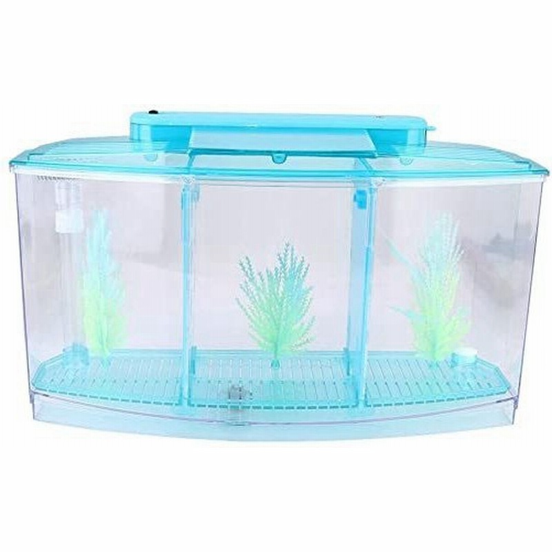 Nitrip メダカ飼育セット 観賞魚飼育 Ledトップカバーライト 小魚 ベタ グッピー 魚の弓種の水生生物 通販 Lineポイント最大get Lineショッピング