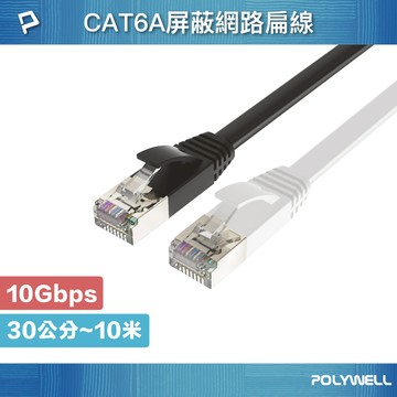 POLYWELL CAT6A扁線 30公分~10米 高速網路線 RJ45 福祿克認證 寶利威爾 台灣現貨